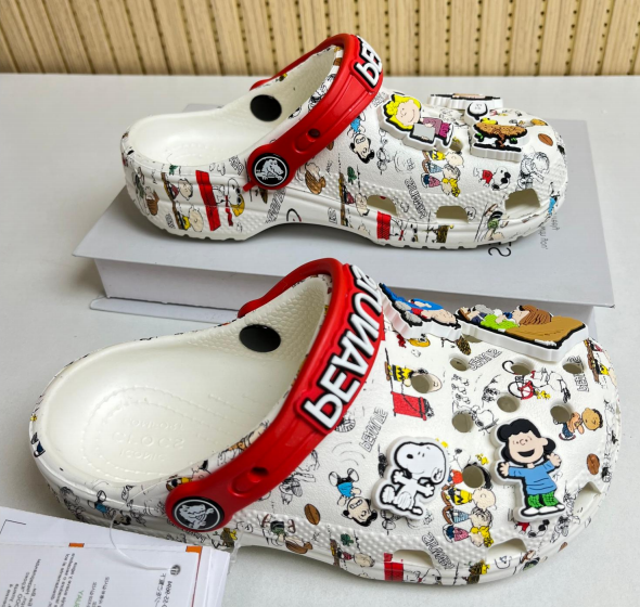 crs-0041