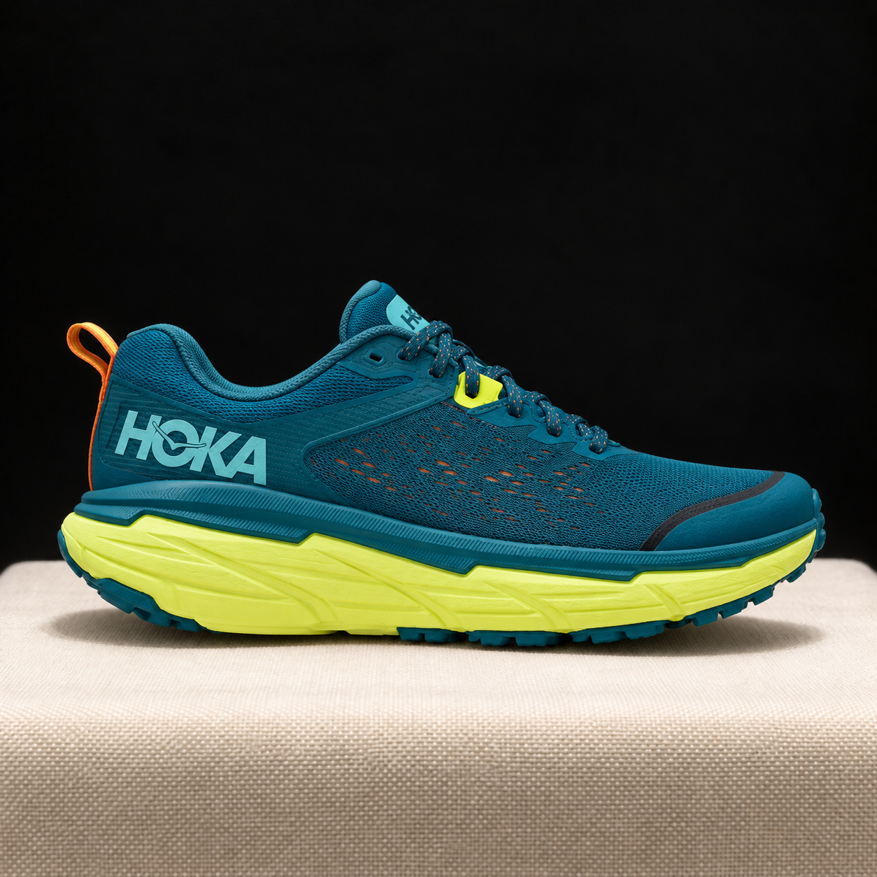 hoka-069